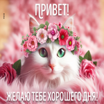 Picture яркая открытка желаю тебе хорошего дня