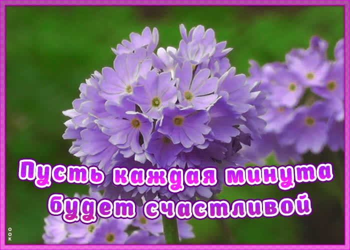 Анимационная картинка с пожеланием | Открытки Онлайн