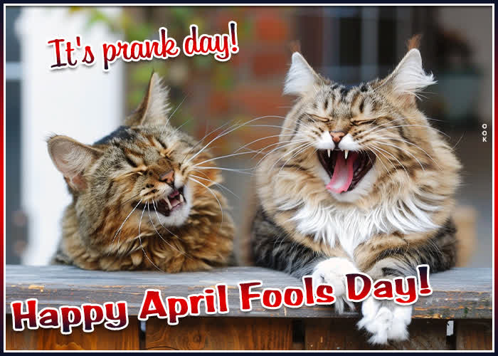 Picture april fool's day