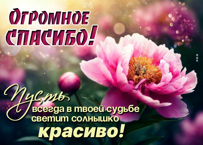 Picture благодарная гиф-открытка, спасибо, пусть в твоей жизни светит солнце всегда