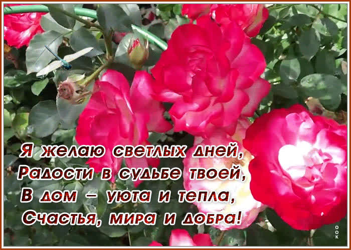 Блестящая открытка с пожеланием | Открытки Онлайн
