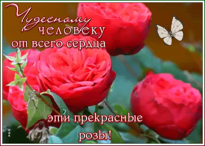 Чудесная открытка с розами | Открытки Онлайн