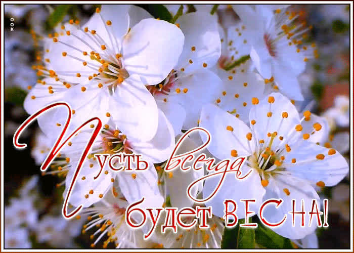 Чудесная открытка с весной | Открытки Онлайн