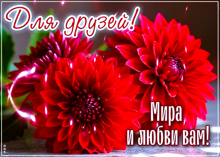 Postcard добрая гиф-открытка, мира и любви вам мои друзья
