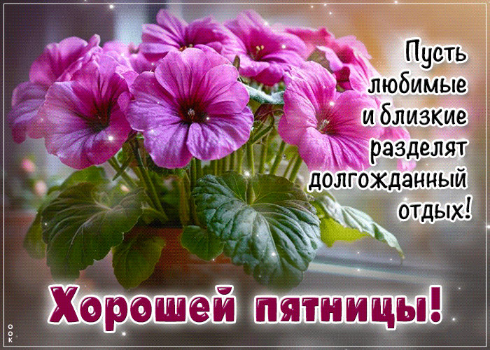 Postcard дружелюбнейшая гиф-открытка, хорошей и приятной пятницы