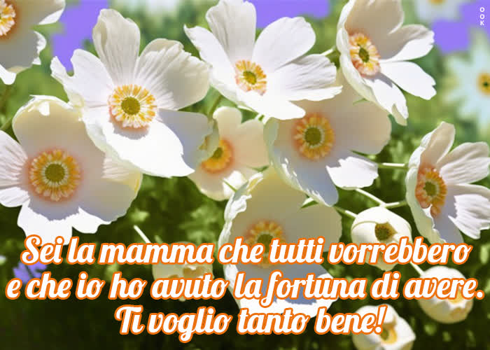 Postcard festa della mamma