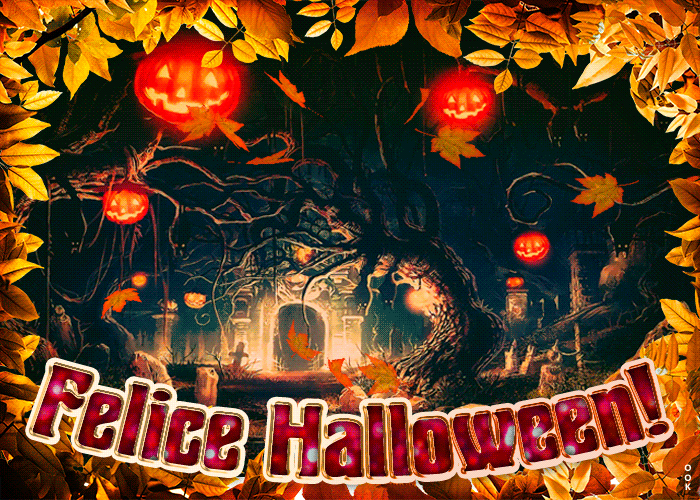 Postcard halloween