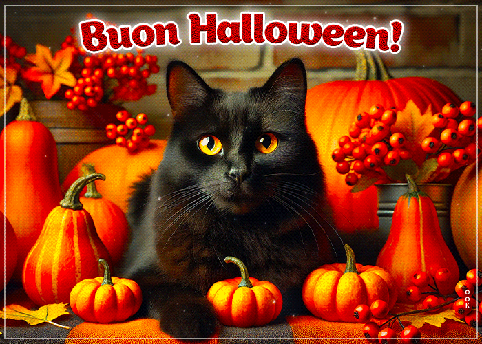 Postcard halloween