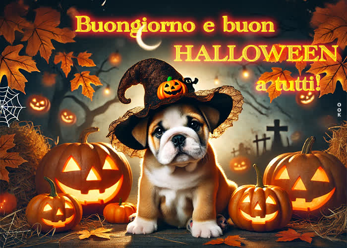 Postcard halloween