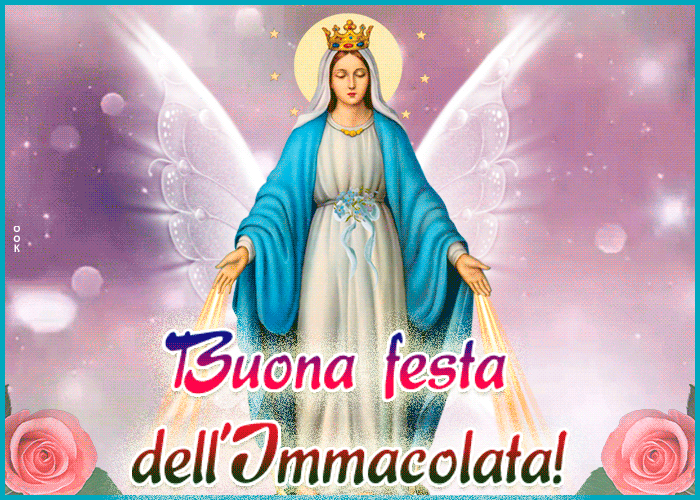 Picture immacolata concezione