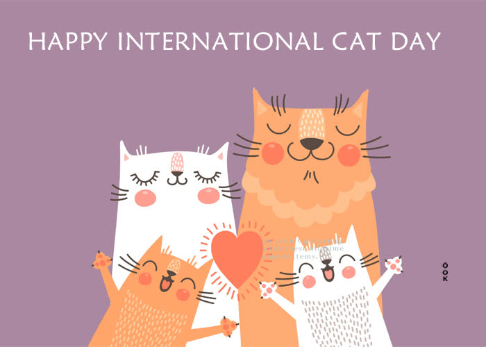 Postcard international cat day