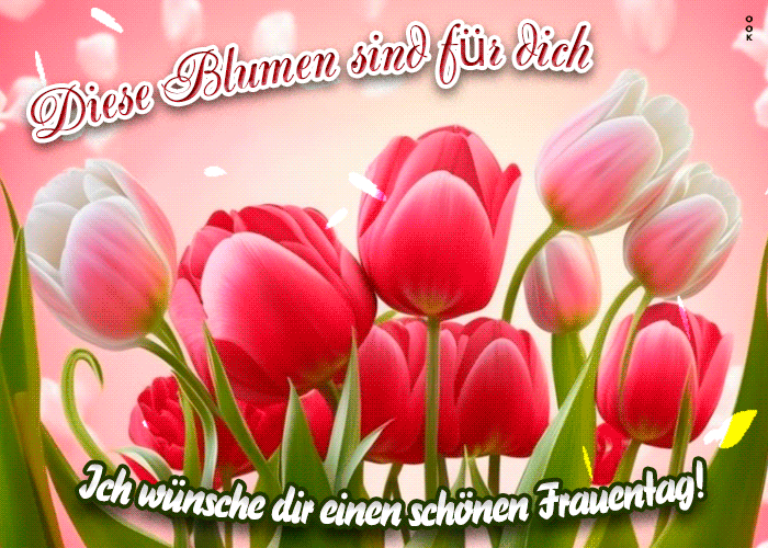 Picture int'ler fraientag