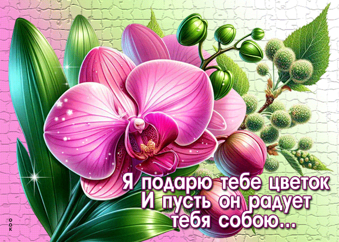 Picture изумительная гиф-открытка, пусть цветок радует собою