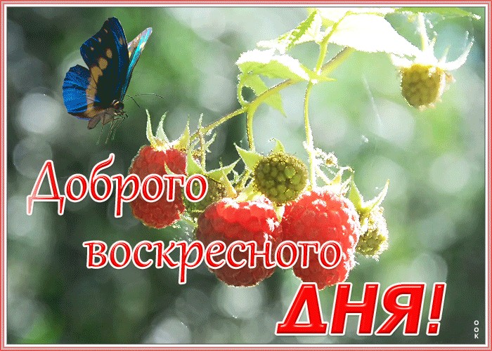 Доброе воскресное утро картинки прикольные с надписями