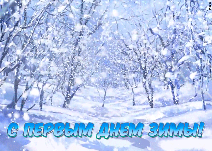 Картинка картинка первый день зимы со снегом