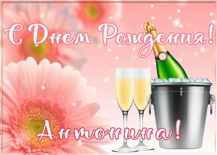С Днем Рождения Антонина Картинки