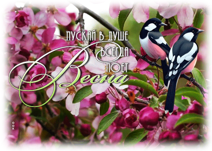Postcard картинка с птичкой пускай в душе всегда поет весна