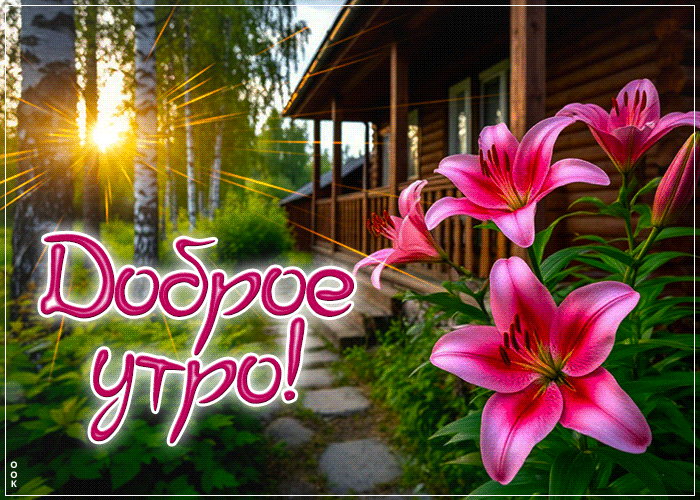 Picture красивая гиф-открытка, доброго и солнечного утра