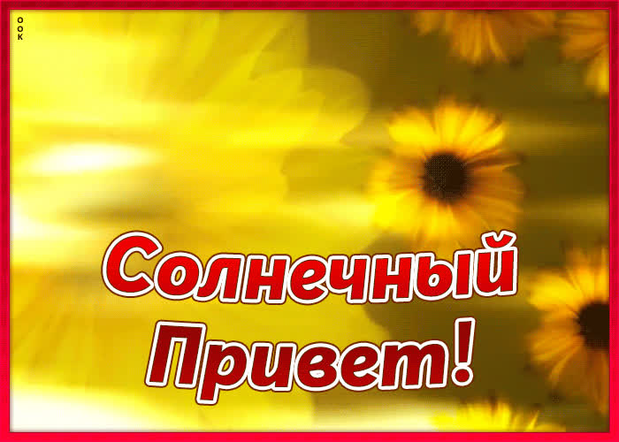 Солнечный привет картинки
