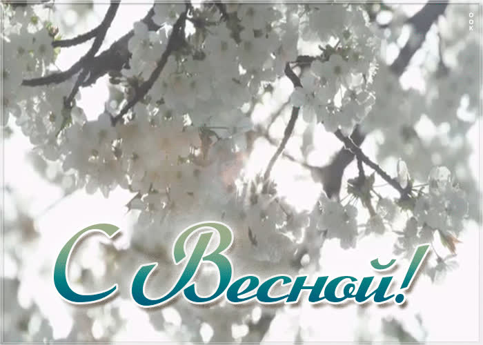 Красивая открытка с весной | Открытки Онлайн
