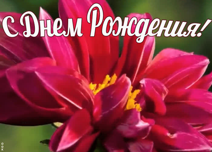 Красивое поздравление женщине | Открытки Онлайн