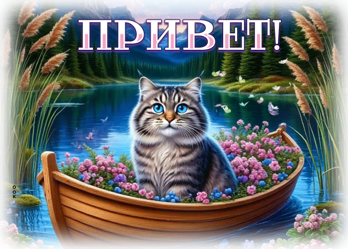 Picture ласковая гиф-открытка, пушистый привет