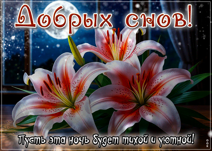 Postcard легкая гиф-открытка, уютной ночки