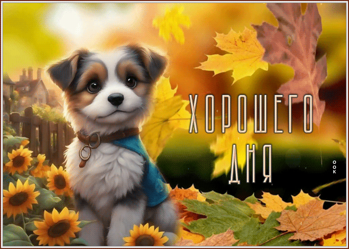 Postcard лучезарная гиф-открытка с милой собачкой и пожеланием хорошего дня