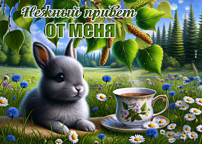 Postcard надежная гиф-открытка, нежный привет от меня