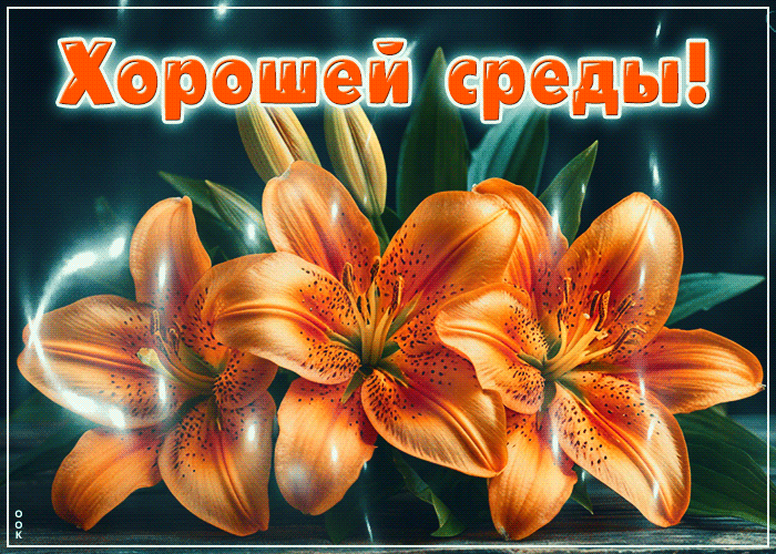 Postcard надежная гиф-открытка, хорошей среды