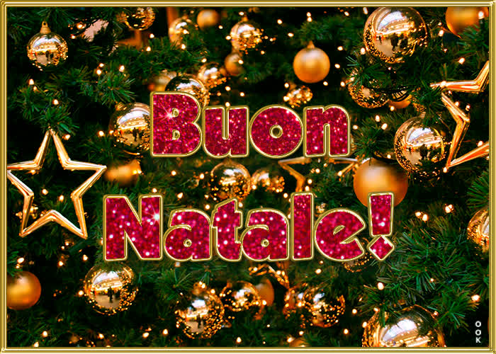 Picture natale