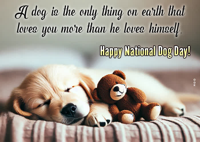 Postcard national dog day