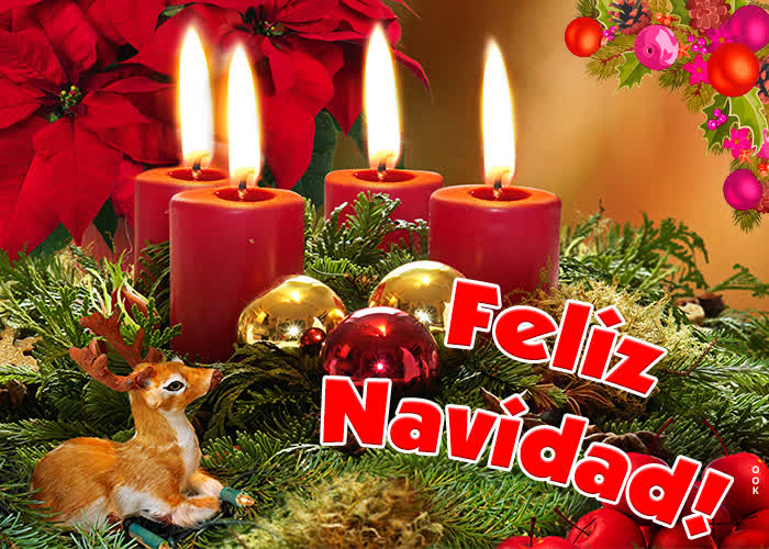 Picture navidad