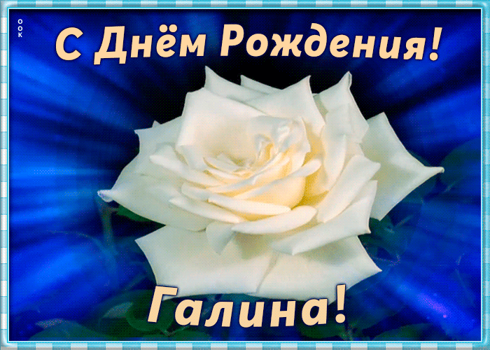 Поздравления с днем рождения Галине своими словами в прозе 💐 – бесплатные пожелания на Pozdravim