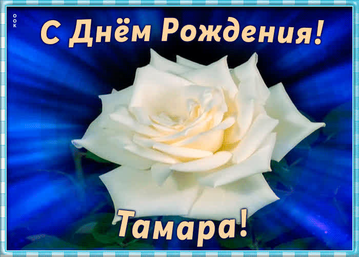 Необычная открытка с Днем Рождения Тамара | Открытки Онлайн