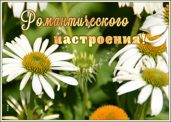 Очаровательная открытка с пожеланиями | Открытки Онлайн
