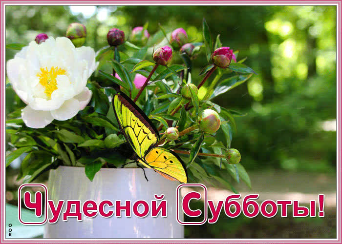 Открытка чудесной субботы | Открытки Онлайн