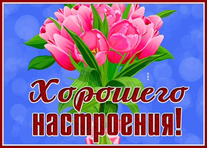 Картинка открытка для настроения с тюльпанами