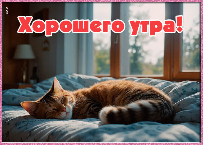 Postcard открытка, доброе утро для вас