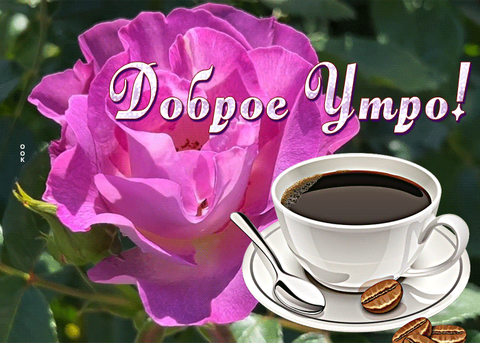 Postcard открытка доброе утро с прекрасным цветком и кофе