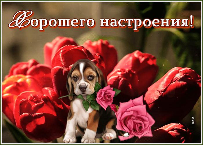 Картинка открытка хорошего настроения с собачкой