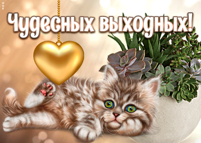 Картинка открытка хороших выходных с котиком