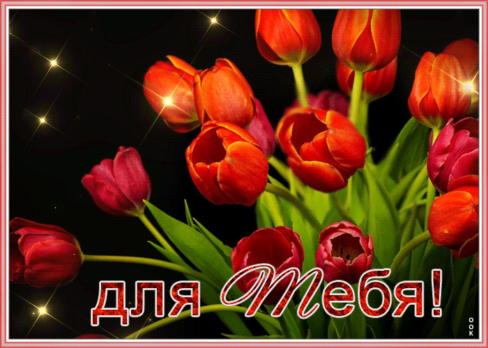 Картинка открытка красные тюльпаны