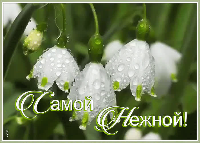 Открытка ландыши самой нежной | Открытки Онлайн