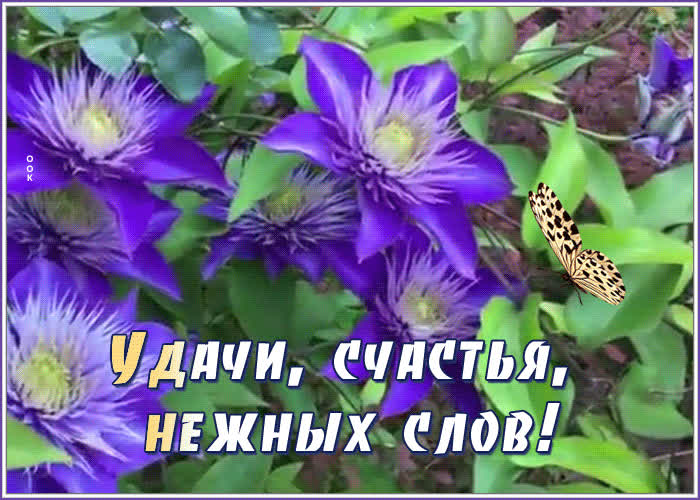Открытка на удачу | Открытки Онлайн