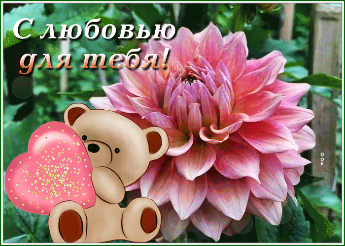 Postcard открытка нежный цветочек и мишка с любовью для тебя
