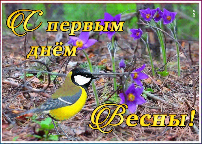 Открытка открытка первый день весны с птичкой