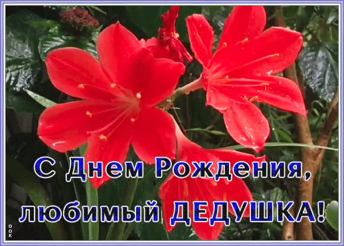 Открытка поздравление с днем рождения дедушке | Открытки Онлайн