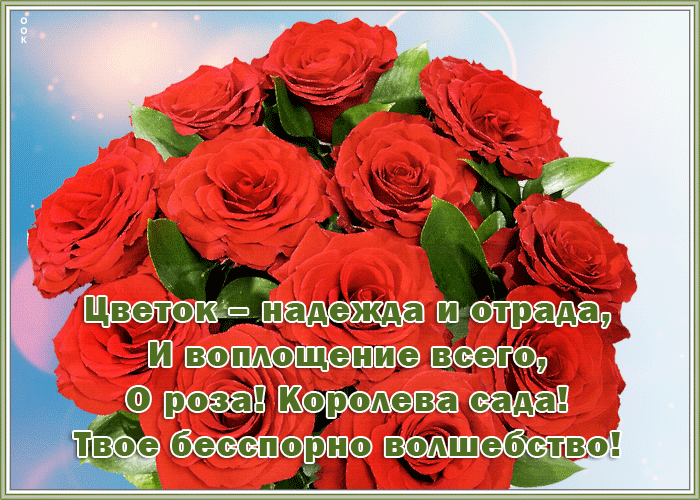 Открытка открытка прекрасные розы