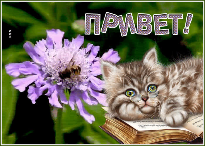 Открытка привет для друзей | Открытки Онлайн